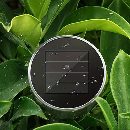 10PCS Solar-Powered Garden Lights - Illuminate Your Outdoor Oasis